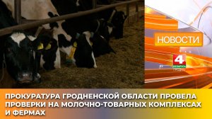 Прокуратура Гродненской области провела проверки на молочно-товарных комплексах и фермах