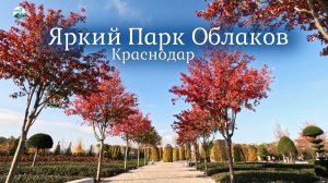 Яркий осенний парк Облаков в Краснодаре
