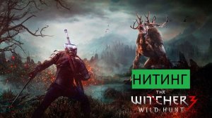 Ведьмак 3 Дикая Охота» Прохождения НИТИНГ