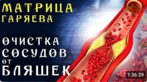 Матрица Гаряева Мощная Очистка Сосудов от Холестериновых Бляшек ☀️ Квантовое Очищение Сосудов Звуком