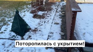 А зима будет? Нестабильный ноябрь и что делать с укрытиями!