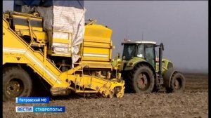 Ставропольские аграрии рассчитывают на хороший урожай картофеля