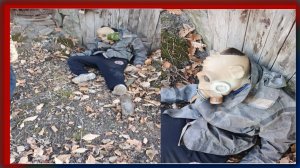 Снорк напал на нас.