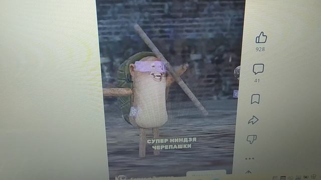 Ёлки иголки