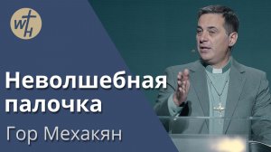 Неволшебная палочка / Гор Мехакян /15.11.2025