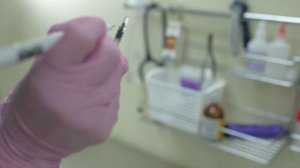 Шприцы для разведения препаратов и выпаивания в клюв. Обзор