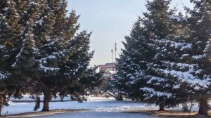 Цена большая у добра.