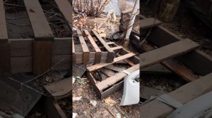 #собака #собаки #собачки #собакадругчеловека #пес #песик #щенок #щеночки #щенки #кот #кошки #кошка