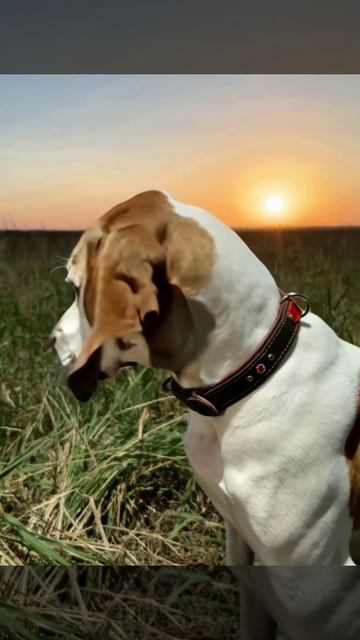 Ралька в красном