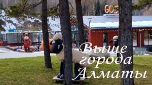 Погулка выше Алматы. 20.11.2025