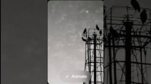 Иосиф Бродский — Развивая Крылова (вар2)