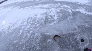 ОТКРЫТИЕ ЗИМНЕЙ РЫБАЛКИ 2025-2026. ПЕРВЫЕ ЩУКИ НА ЖЕРЛИЦЫ.