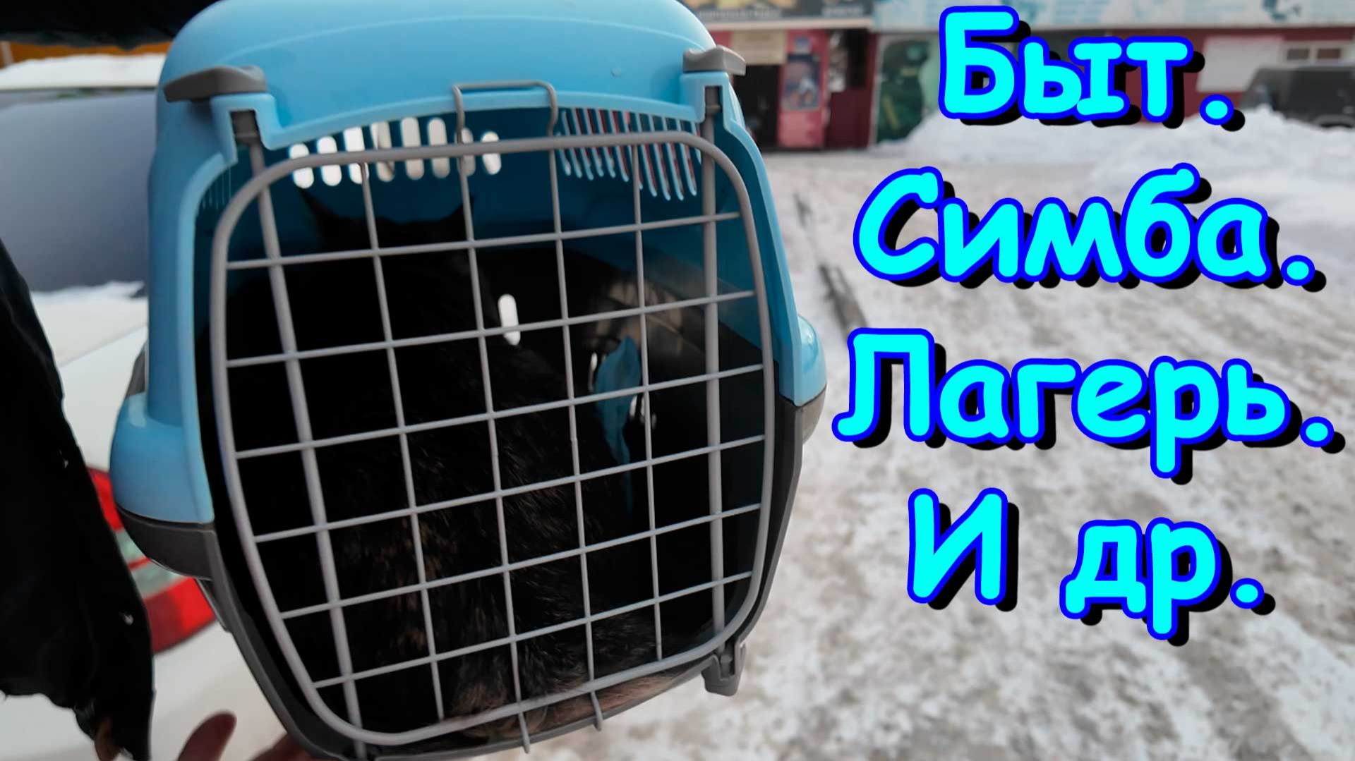 Готовимся к лагерю. Кастрировали Симбу. Котята. Быт. (11.25г.) Семья Бровченко.