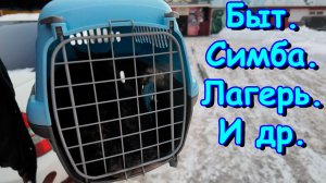 Готовимся к лагерю. Кастрировали Симбу. Котята. Быт. (11.25г.) Семья Бровченко.