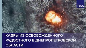 Кадры из освобожденного Радостного в Днепропетровской области