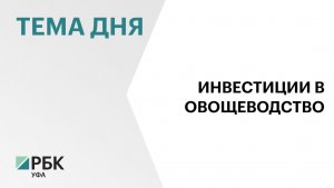 Инвестор из Узбекистана будет выращивать картофель на северо-востоке Башкортостана