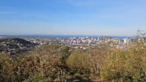 #148.Москва.У нас снег,а в Батуми мандарины и Хурма.