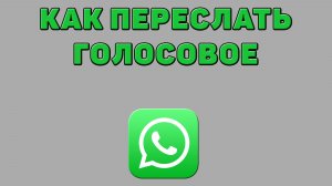 Как переслать голосовое в Ватсапе
