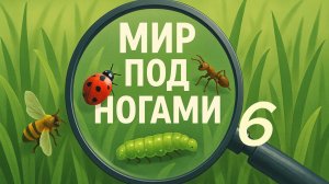 «Мир под ногами», выпуск №6