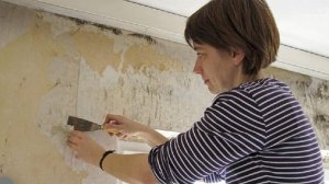 Как избавиться от плесени в квартире: профессиональные методы и народные средства