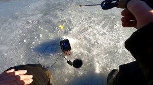 Рузское водохранилище. Рыбалка выходного дня