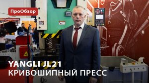 Кривошипный пресс Yangli JL21