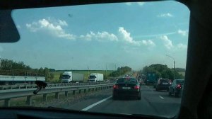 Рыжий конь (Cover). Band ODESSA