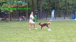 Площадка для собак. Часть Третья