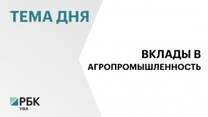 В Башкортостане реализуются 72 приоритетных инвестпроекта на общую сумму более ₽107 млрд