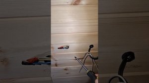 1000040739.mp4 (Собака смотрит на монтаж э/проводки (техн. уст. э/розеток, э/выкл.) в доме А-фрем)