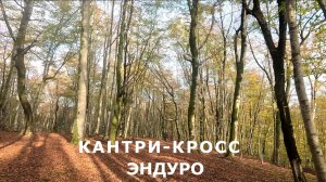 Кросс-кантри эндуро в Сочи