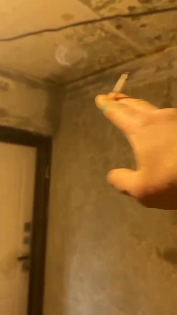 19-11-2025 подготовка стен