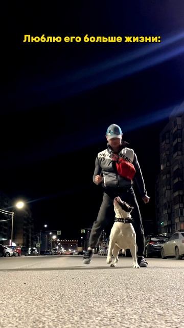 Вечерняя тренировка. смотреть онлайн