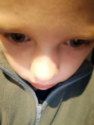 строим карку