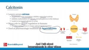 1. Thyroid Anatomy and Physiology