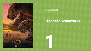 Царство животных 1 серия (документальный сериал, 2025)