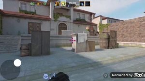 В канце разнёс элиту