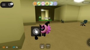 Как получить кота глитча и кота акулу?