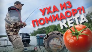 Кета. Уха из помидор?! Камчатская история в поисках кижуча