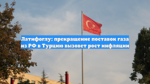 Латифоглу: прекращение поставок газа из РФ в Турцию вызовет рост инфляции