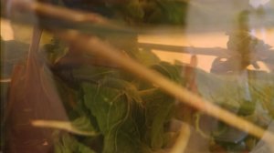 Разозлилась на себя. Не влезаю в комбез!!!!