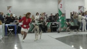 Сравнение на ЛПП