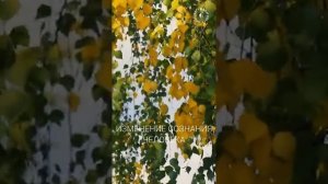 #БВ ✴ ИЗМЕНЕНИЕ СОЗНАНИЯ ЧЕЛОВЕКА