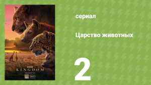 Царство животных 2 серия (документальный сериал, 2025)