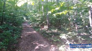 ПВД Крестовая поляна - с. Ширяево #впбп #jivoy63