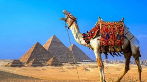 ЕГИПЕТ НОЯБРЬ 2025, ШАРМ-ЭЛЬ-ШЕЙХ, ПИК АЛЬБАТРОС ПАЛАС РЕЗОРТ 5*