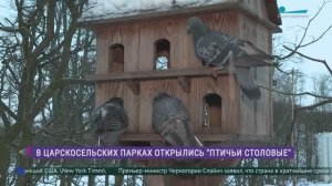 В парках Царского Села  открылись «птичьи столовые»