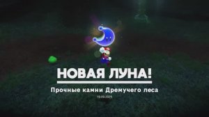 Прочные камни Дремучего леса