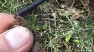 И рыбалка и копалка.Натаскал карасей и монеты старые нашёл.