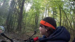 Осенние катания на собаках